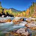 Fall At The Bull